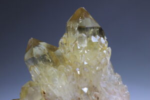 kundalini citrien,,